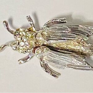 Ornate Silver Beetle Brooch